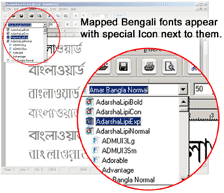 bijoy bangla 2000 software